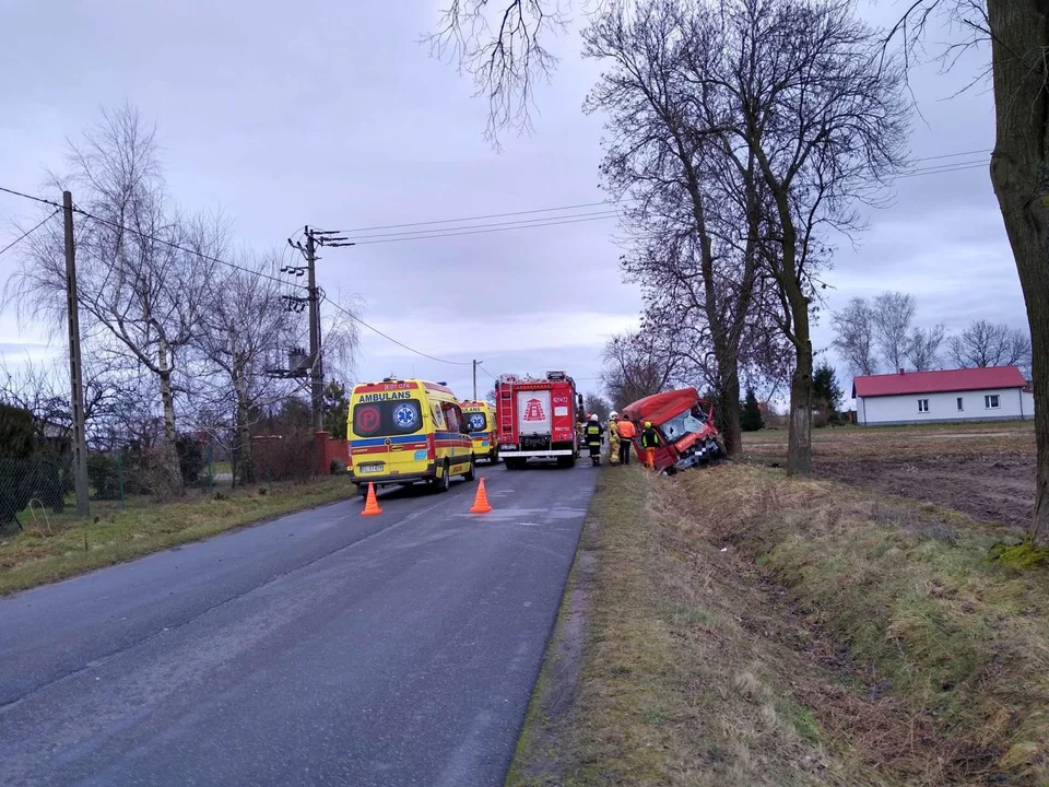 Samochód uderzył w drzewo w miejscowości Mnich. Na miejscu służby ratunkowe