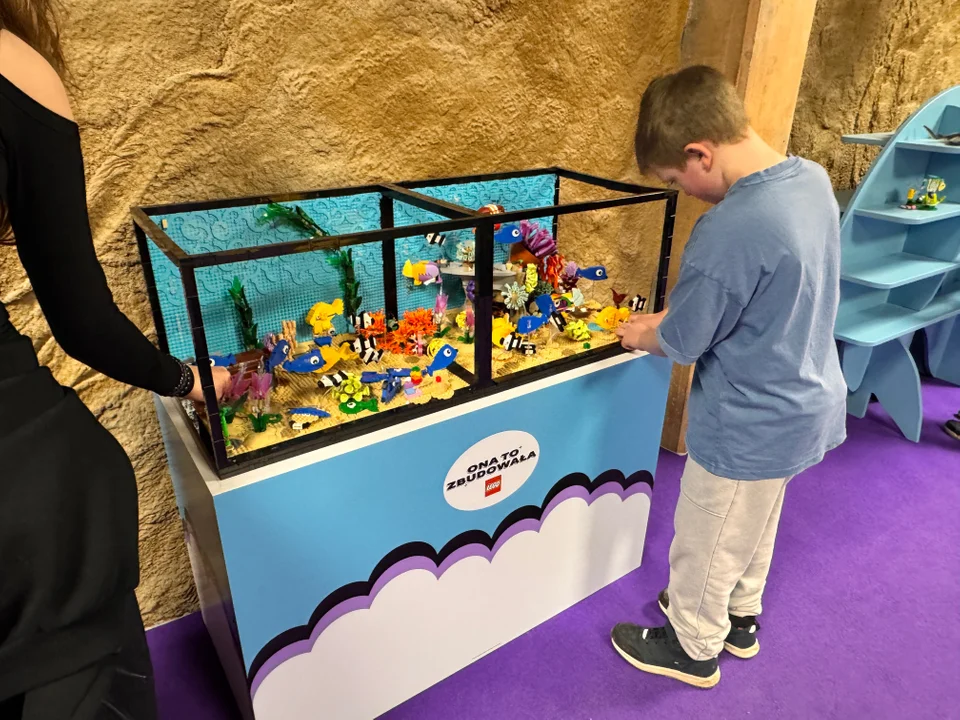 Zwierzęta z klocków w łódzkim zoo