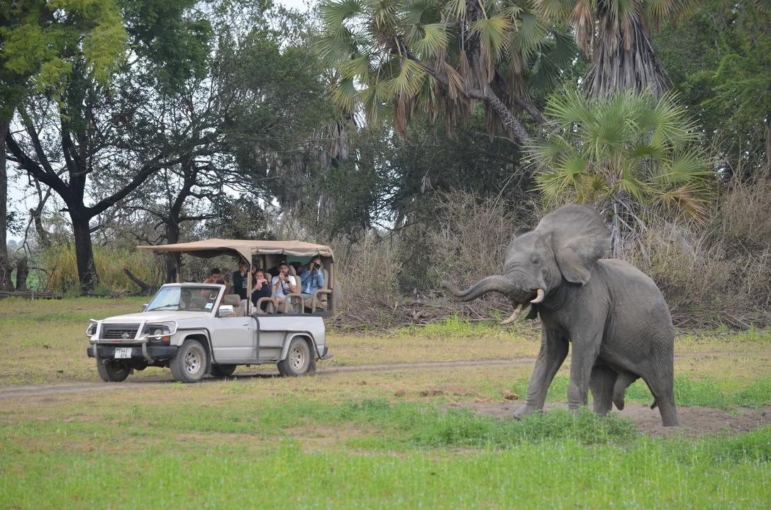 Fotograf spod Łodzi organizuje safari na Zanzibarze. "Wylądowałem tu, mając w kieszeni 80 dolarów" [ZDJĘCIA] - Zdjęcie główne