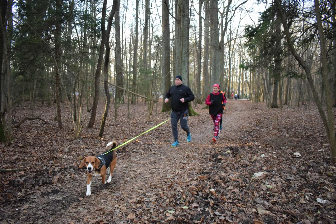 Parkrun w Lesie Łagiewnickim