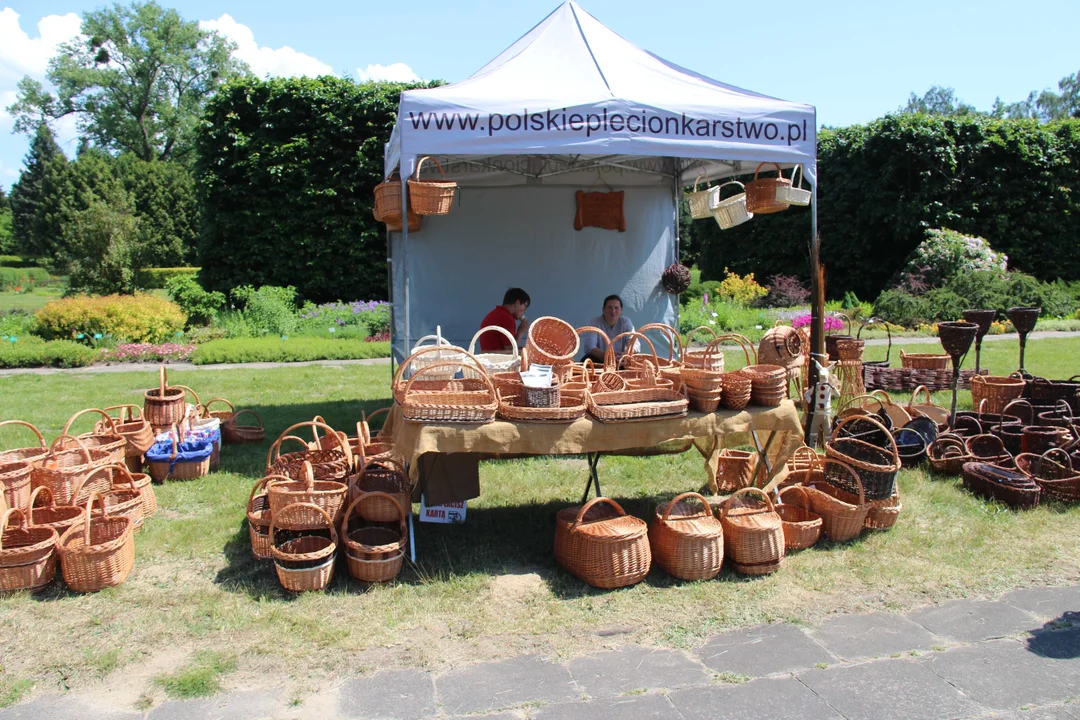 "Majówka w ogrodzie" - Ogród Botaniczny w Łodzi zaprasza na piknik rodzinny