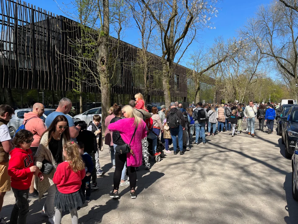 Kolejka w majówkę do Orientarium ZOO Łódź