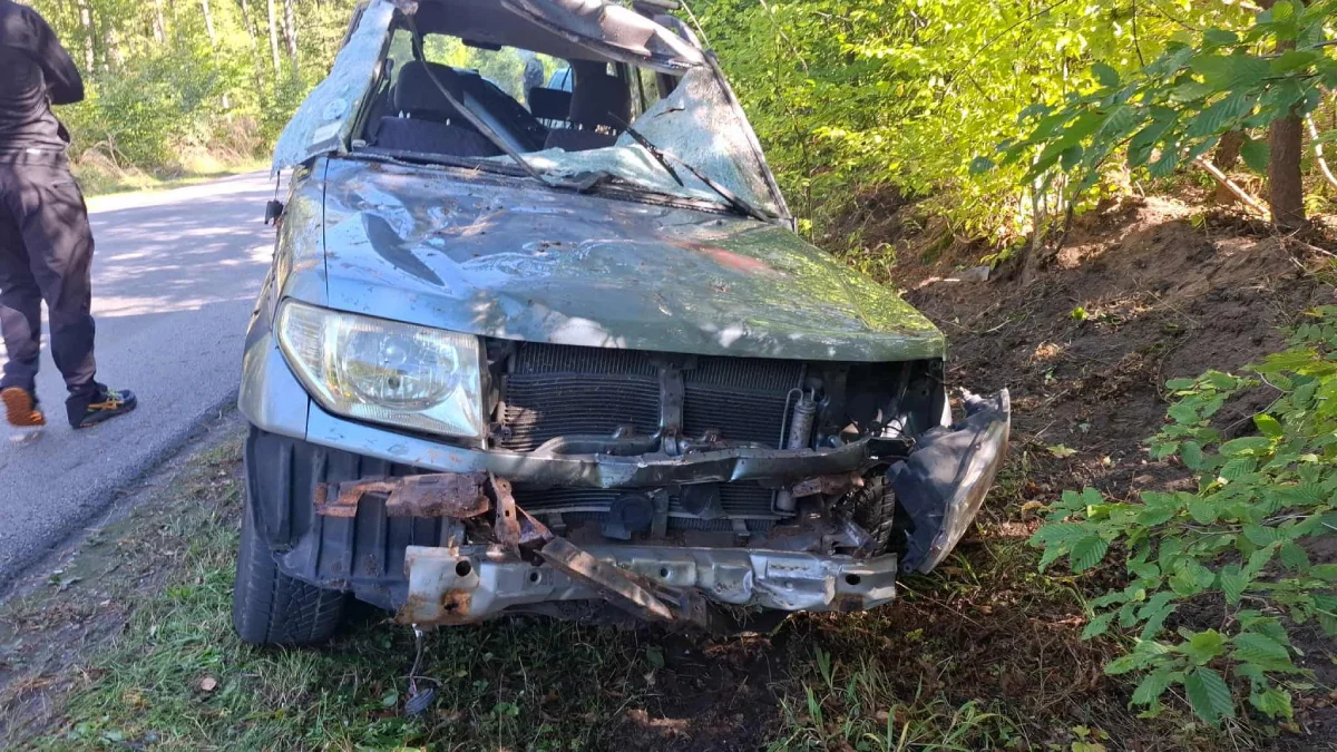 zderzenie z jeleniem powiat piotrkowski