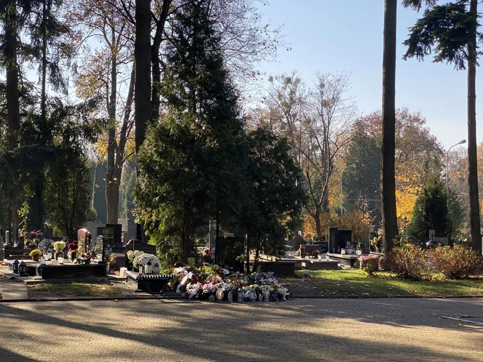 Grób Sylwii Kurzeli w Alei Zasłużonych cmentarza na Dołach