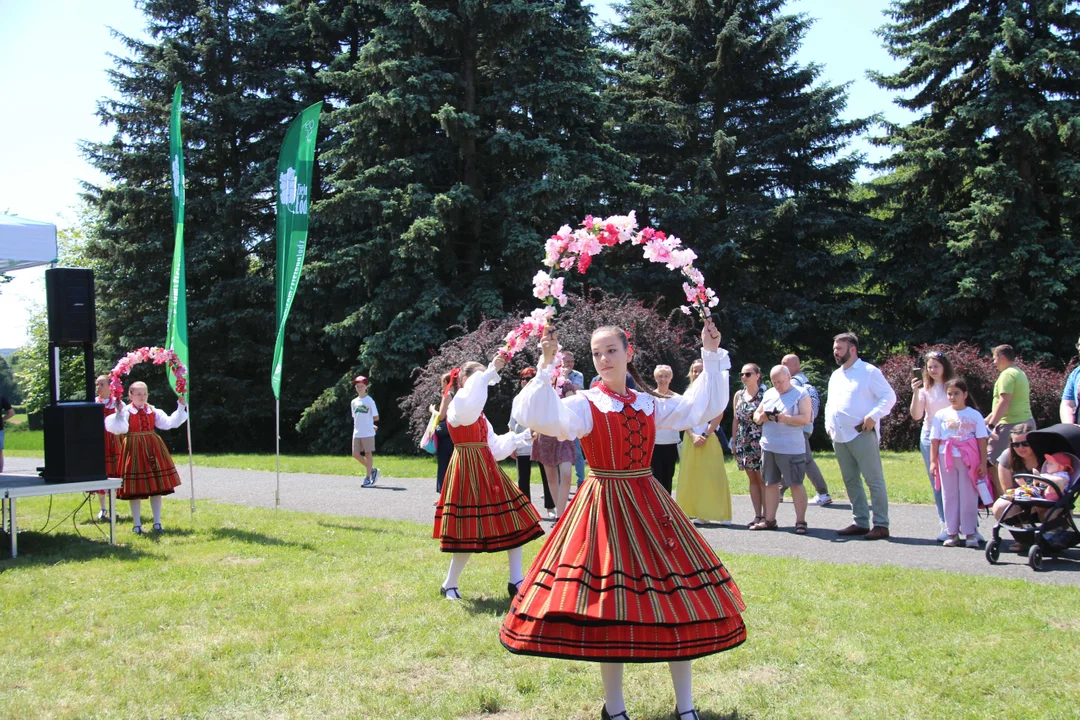 "Majówka w ogrodzie" - Ogród Botaniczny w Łodzi zaprasza na piknik rodzinny