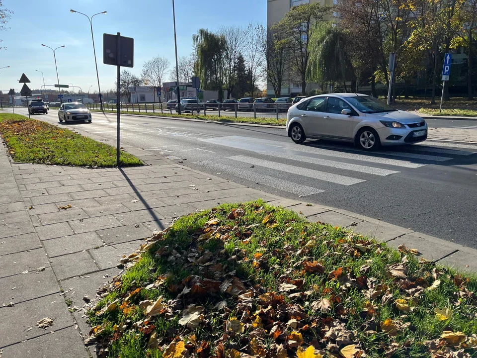 Kierujący pojazdami zawsze muszą ustąpić pierwszeństwa pieszym. Co na to łodzianie?