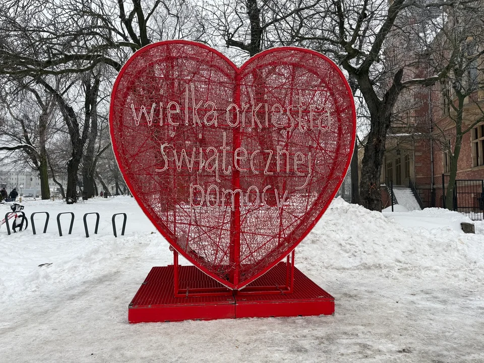 Gdańszczanie wiosłują dla WOŚP w galerii Forum - Zdjęcie główne