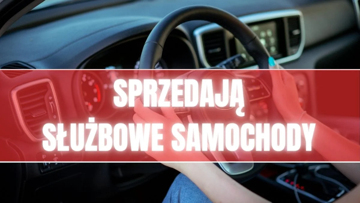 Urząd sprzedaje samochody. "Nadal są zadbane". Jaka cena?