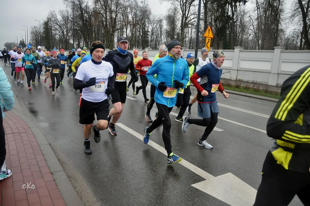 XI Pabianicki Półmaraton