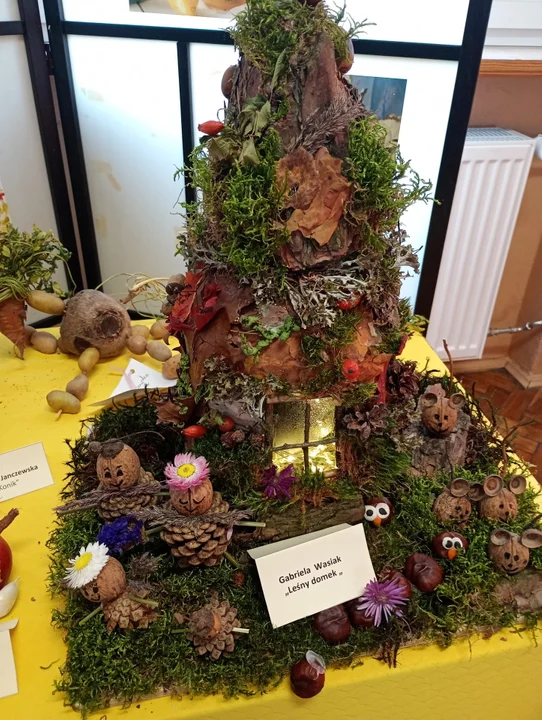 Święto Dyni w sp. w Kaszewach Dwornych