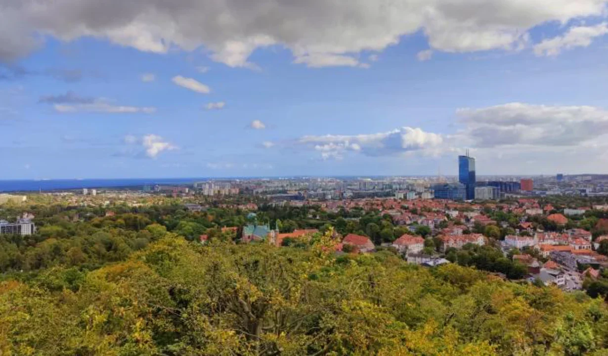 Wieża widokowa w Oliwie