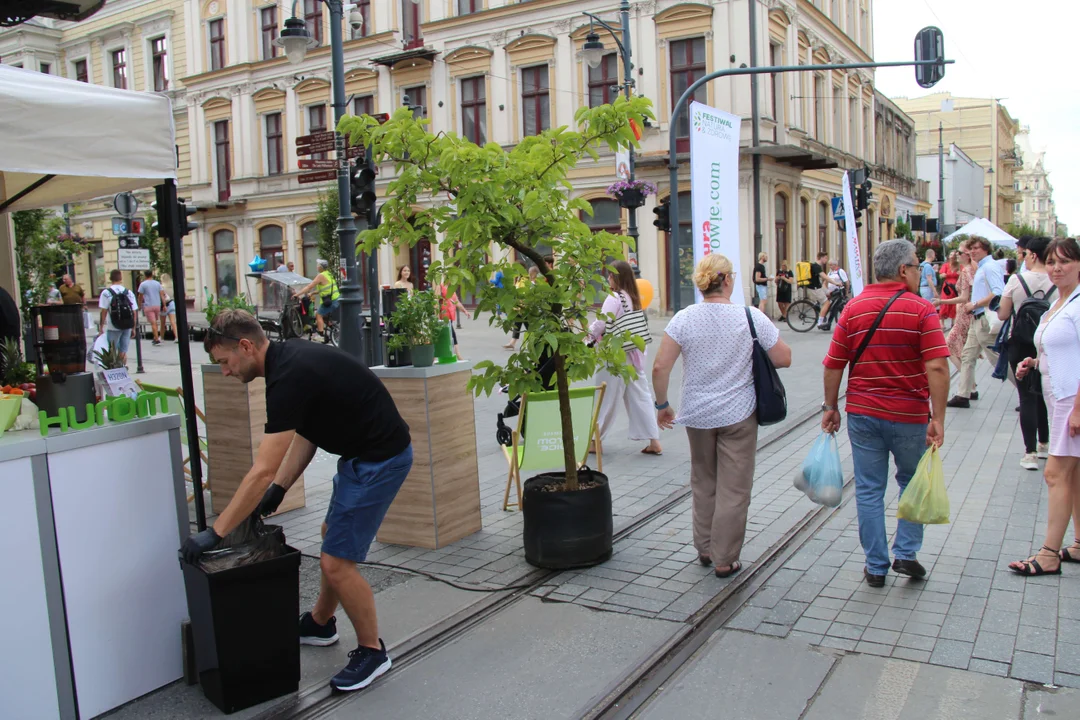 Strefa sportu i natury z okazji 600. urodzin Łodzi