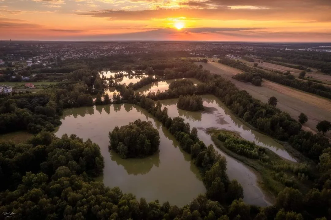 Wernisaż wystawy fotografii Damiana Redlickiego. Zdjęcia zapierają dech w piersiach [galeria]