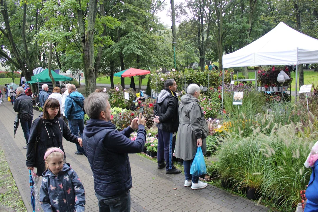 Trwa Święto Róży. Sporo osób odwiedza park Traugutta