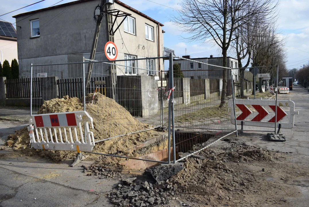 Z ulicy Fijałkowskiego w Zgierzu  znikną drzewa