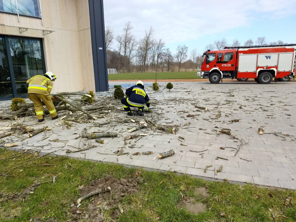 Jedno drzewo, ogromne straty. Wichura uderzyła w świetlicę w Charbrowie