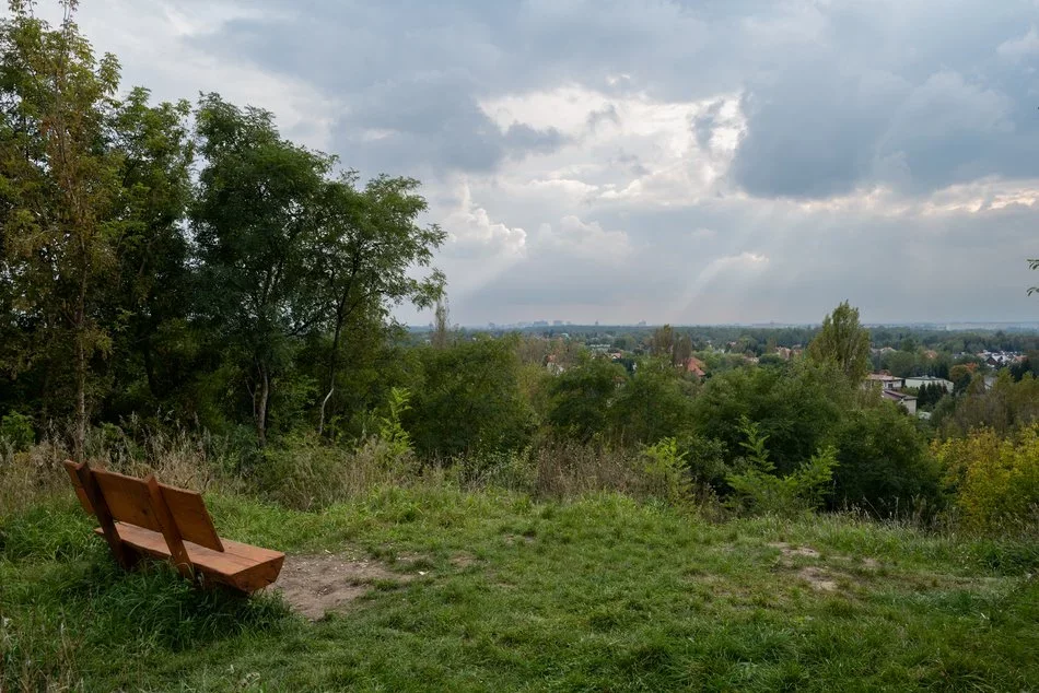 Łódź wzbogaci się o nową atrakcję turystyczną. Sprawdź, w której części miasta powstanie [WIZUALIZACJE] - Zdjęcie główne