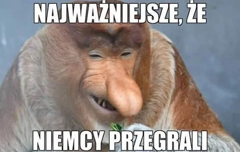 Memy po meczu Mołdawia - Polska