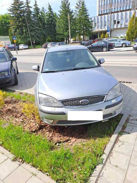 Parkowanie na trawnikach w Pabianicach