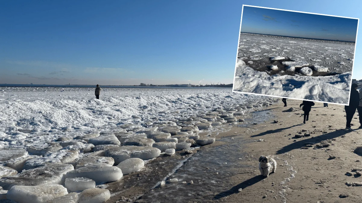 Niewiarygodne sceny nad Bałtykiem. Ludzie przecierali oczy na widok tego brzegu - Zdjęcie główne