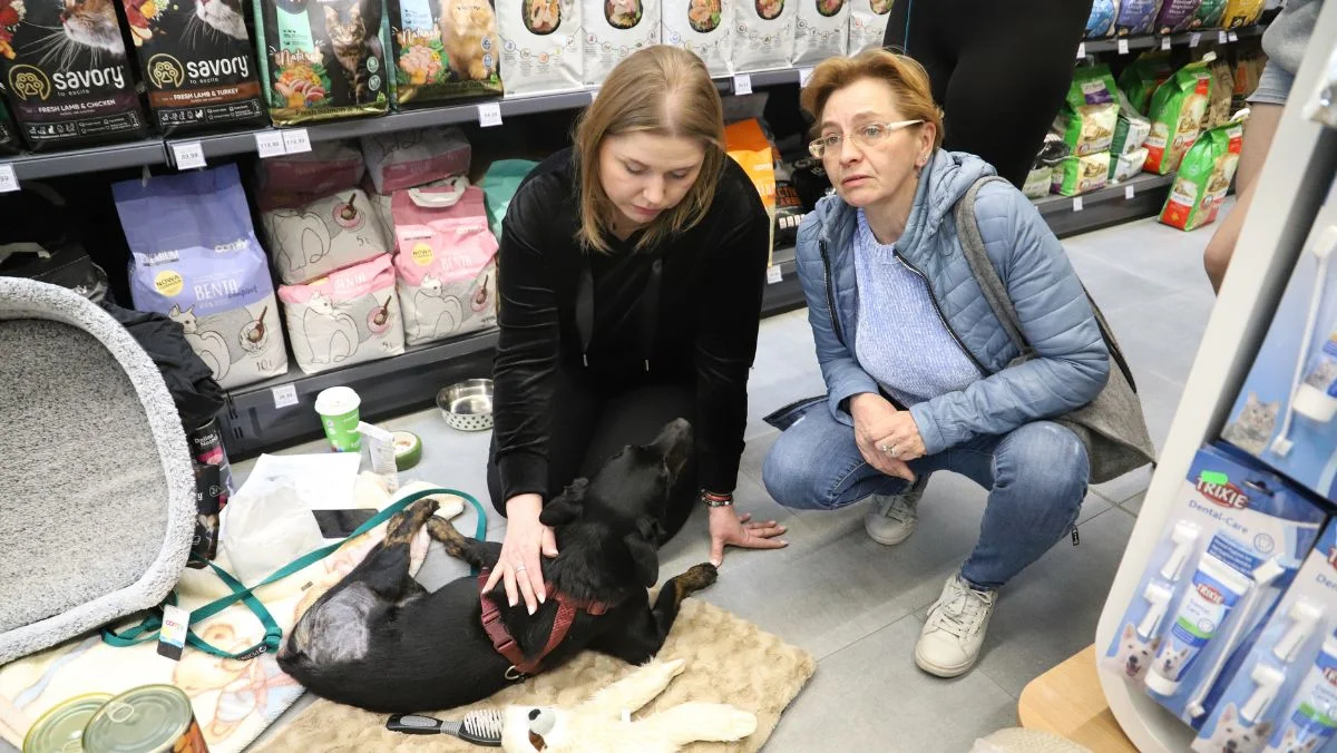 Personel sklepu i mieszkańcy łączą siły. Bruno ma szansę na życie w zdrowiu i spokoju