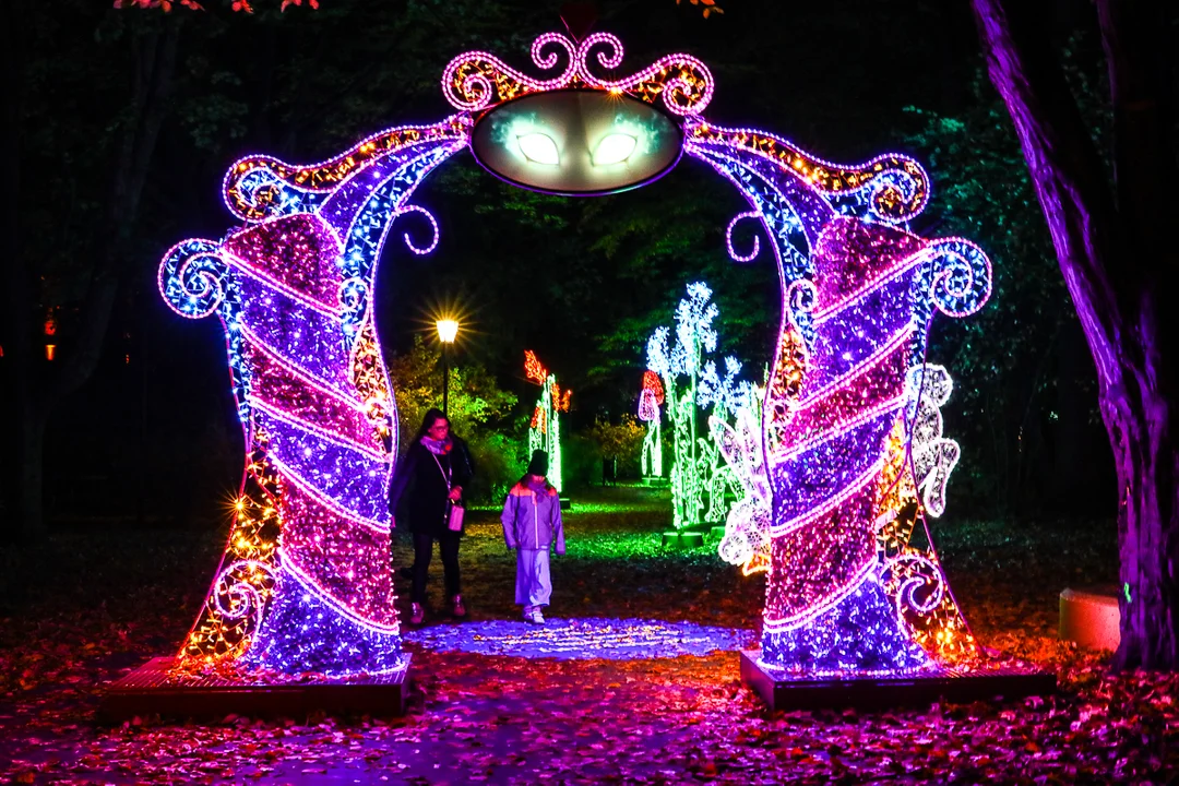 Park Miliona Świateł znów dostępny dla odwiedzających