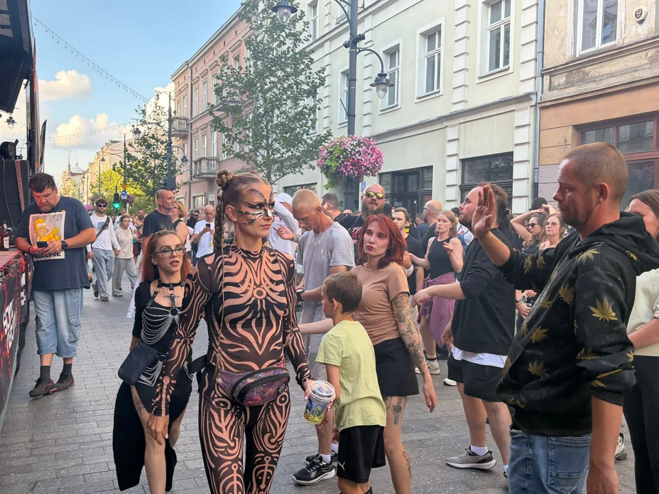 Parada Wolności w Łodzi - dzień drugi