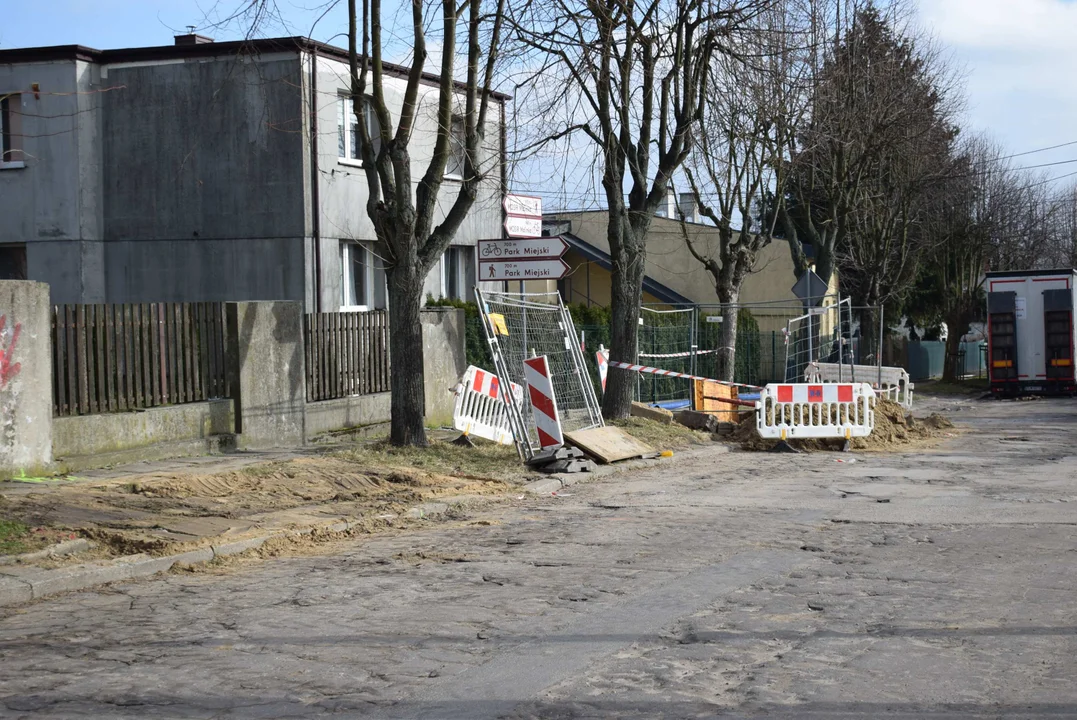 Z ulicy Fijałkowskiego w Zgierzu  znikną drzewa