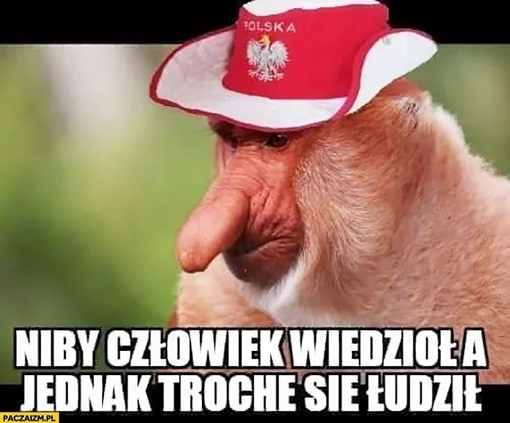 Memy po meczu Polska - Meksyk