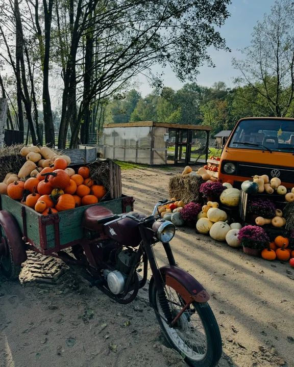 Dobronianka - miejsce na jednodniową wycieczkę