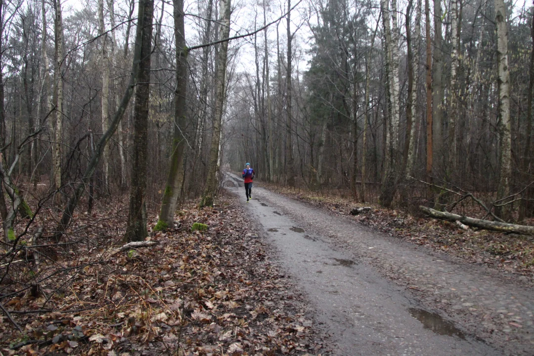 Walentynkowy parkrun w Lesie Łagiewnickim