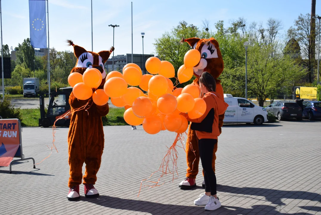 Piknik podczas DOZ Maraton Łódź 2024