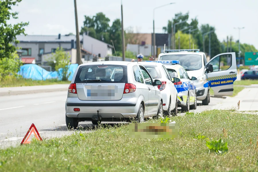 Mała sarenka wpadła pod samochód. Niebezpieczne zdarzenie przy centrum miasta - Zdjęcie główne