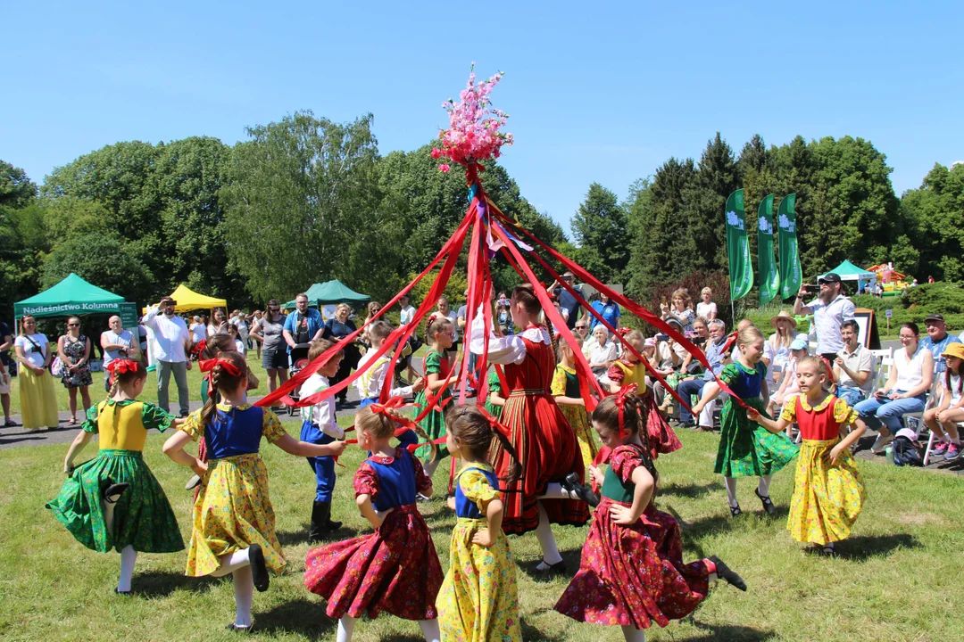 "Majówka w ogrodzie" - Ogród Botaniczny w Łodzi zaprasza na piknik rodzinny