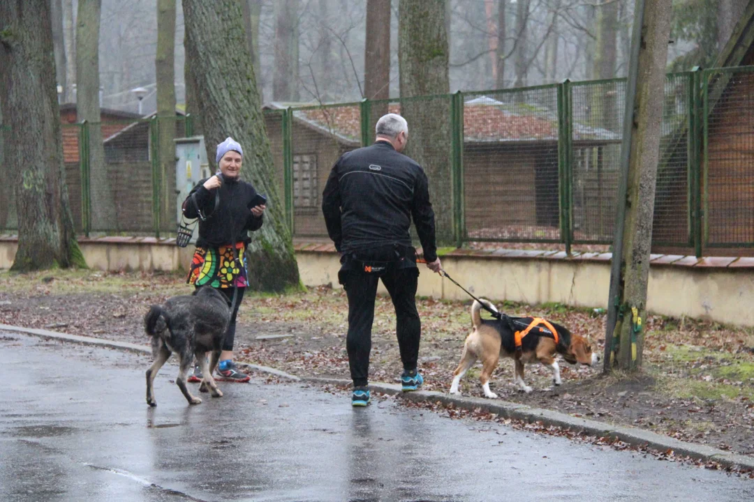 Walentynkowy parkrun w Lesie Łagiewnickim