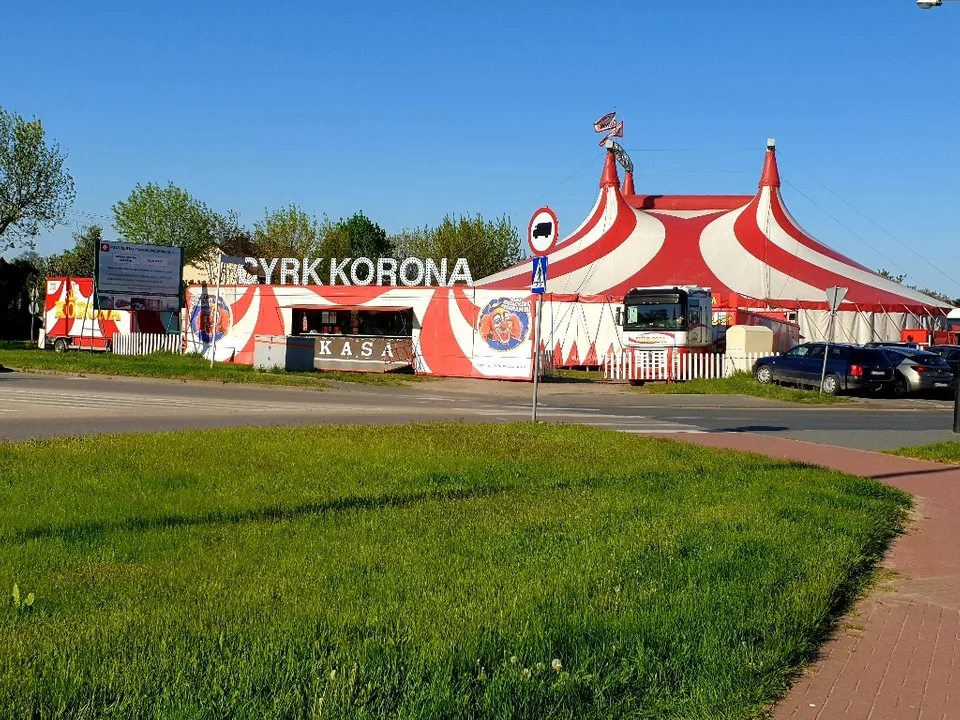 Co robić w weekend w Zgierzu i okolicy? Łapcie harmonogram wydarzeń!