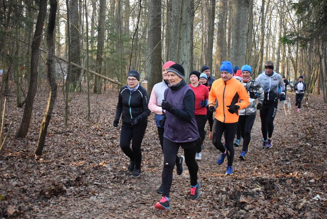 Parkrun w Lesie Łagiewnickim