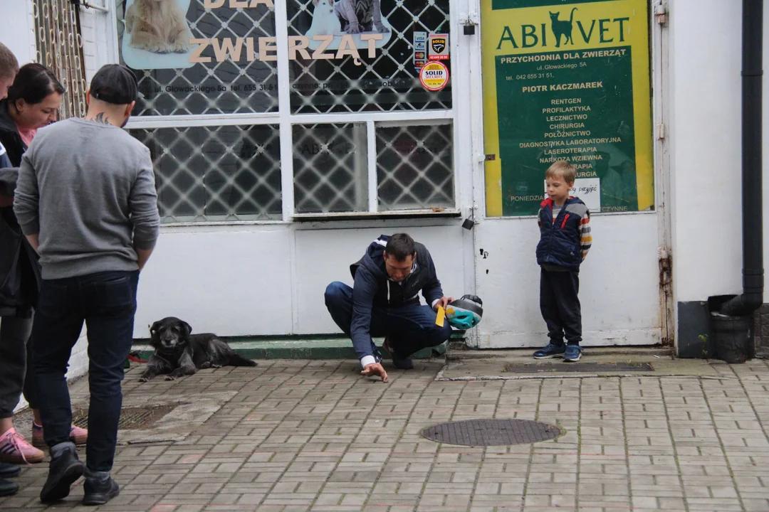 Koń Bałutek świętuje swoje trzecie urodziny!