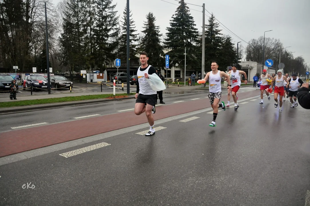 XI Pabianicki Półmaraton