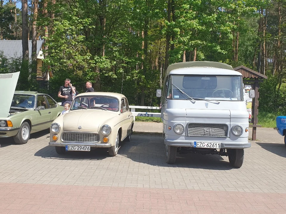 Piknik z klasycznymi samochodami w Sokolnikach-Lesie. Otwarcie sezonu. Te auta robią wrażenie [zdjęcia]