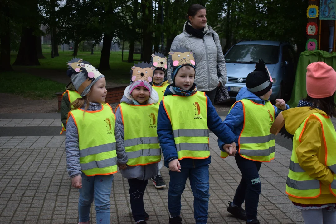 Parada jeży w Zgierzu