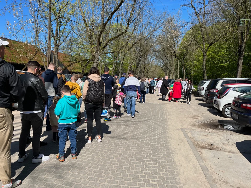 Kolejka w majówkę do Orientarium ZOO Łódź