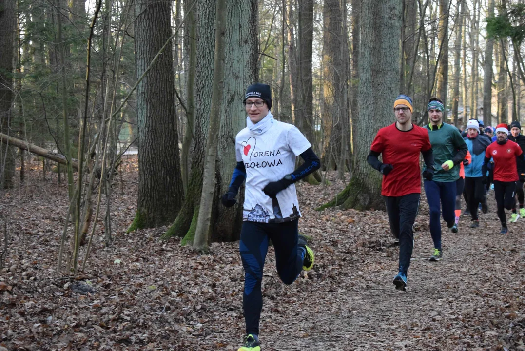 Parkrun w Lesie Łagiewnickim