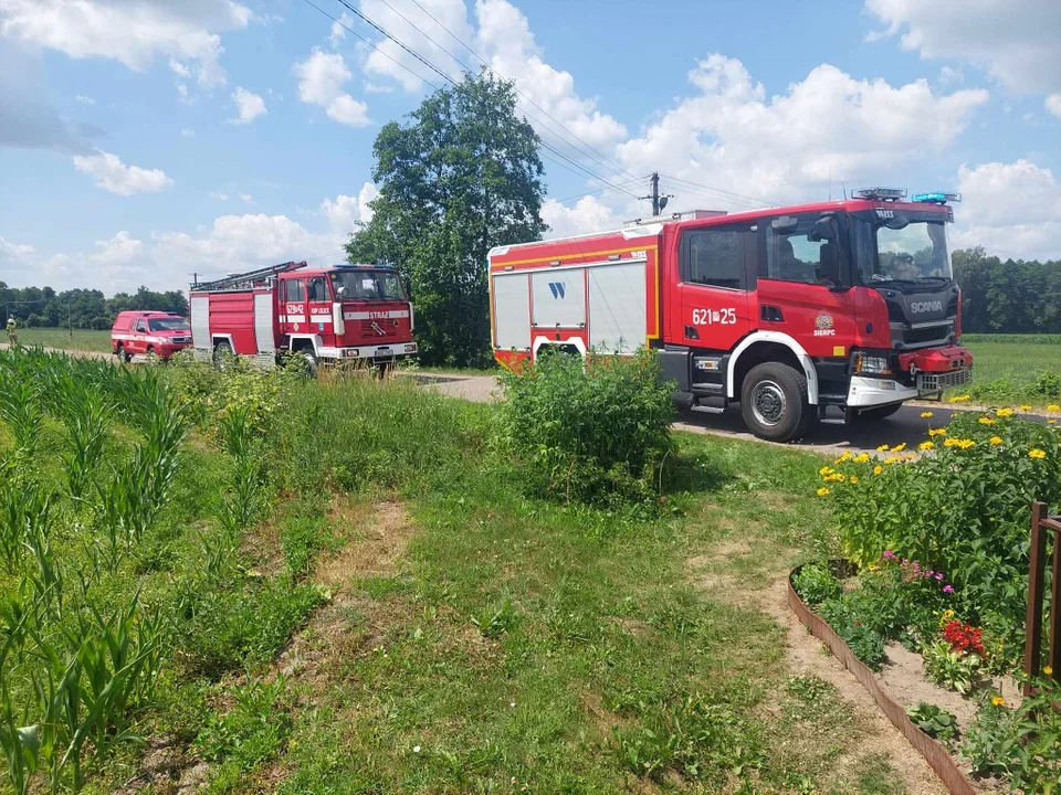 Tragiczny początek sezonu. Ci motocykliści nie mieli żadnych szans – zginęli. Jak bezpiecznie jeździć motocyklem? Porady eksperta - Zdjęcie główne