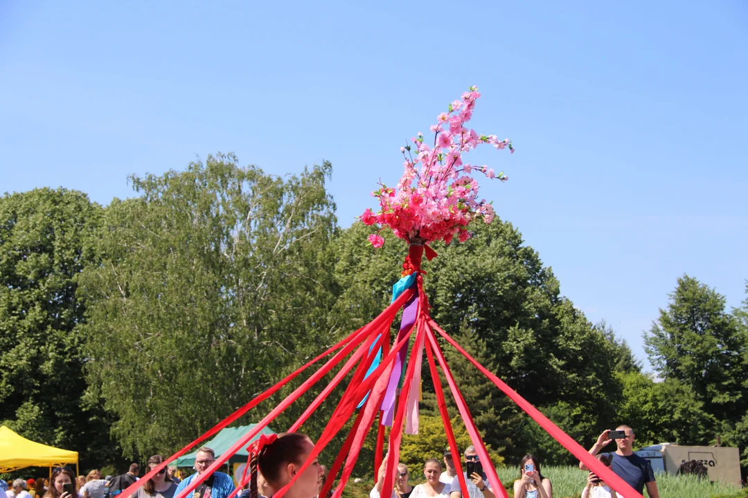 "Majówka w ogrodzie" - Ogród Botaniczny w Łodzi zaprasza na piknik rodzinny