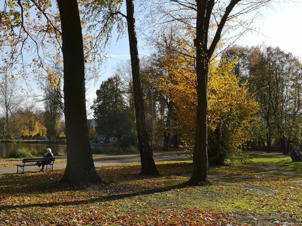 Zgierzanie korzystają z pięknej jesiennej pogody