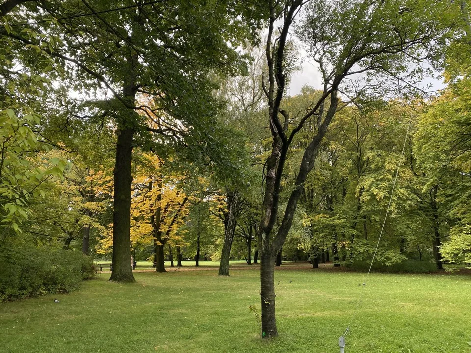 Park Źródliska jesienią