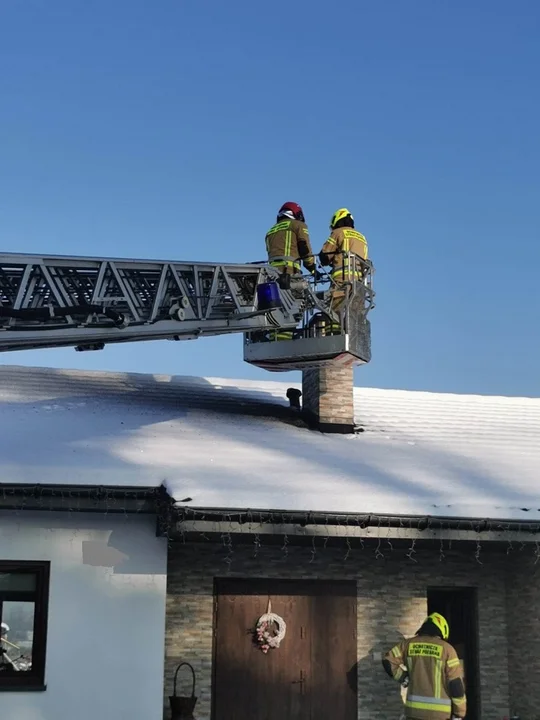 Strażacy i wóz z drabiną w Zwierzyńcu