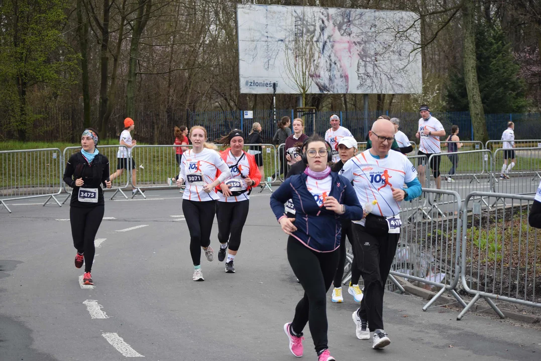 DOZ Maraton ulicami miasta. Zobacz zdjęcia z biegu głównego