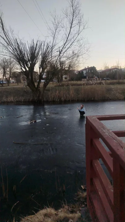 Służby ratowały dziewczynkę z zamarzniętego stawu